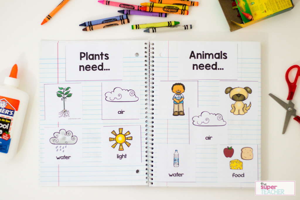 [FREE DOWNLOAD] Fun Science Pages for Preschool