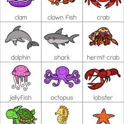 Animal Habitats Science Activity and Worksheets – The Super Teacher