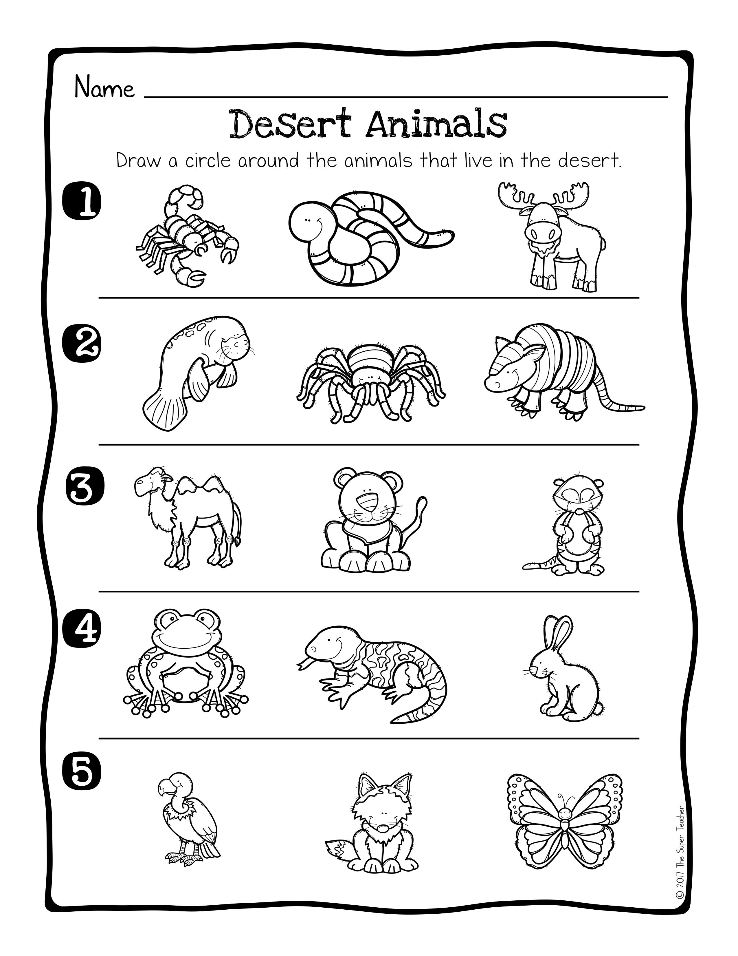 animal habitats science activity and worksheets the super teacher