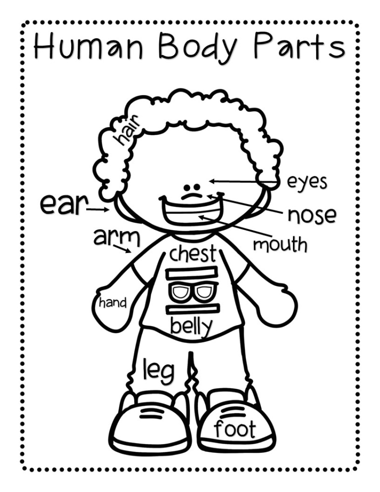 body-parts-activities-the-super-teacher